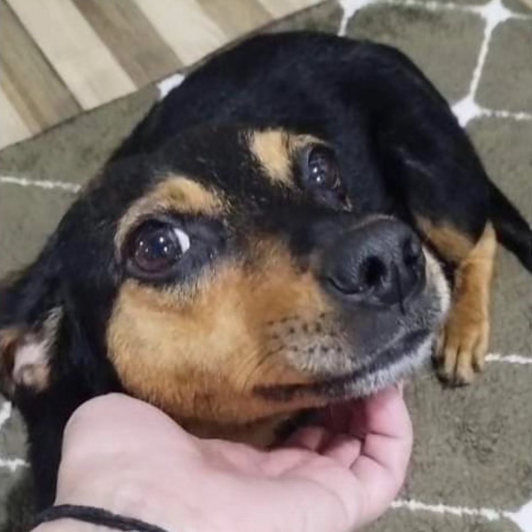 Amora depois da recuperação