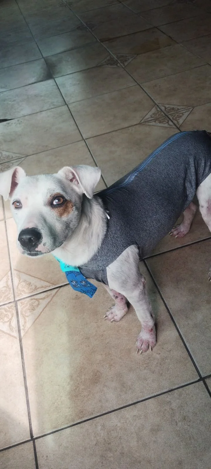 Theodoro depois da recuperação